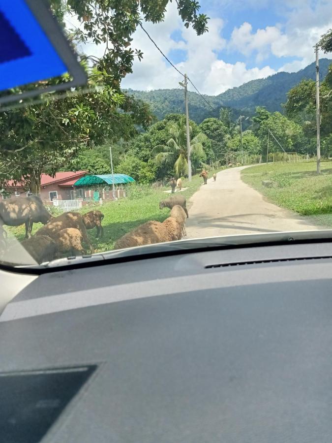 Aliza Scawa Homestay Kuala Pilah Bagian luar foto